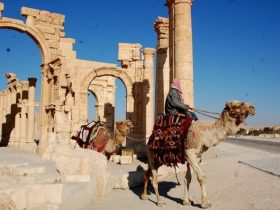 الخيل والإبل في التراث السوري