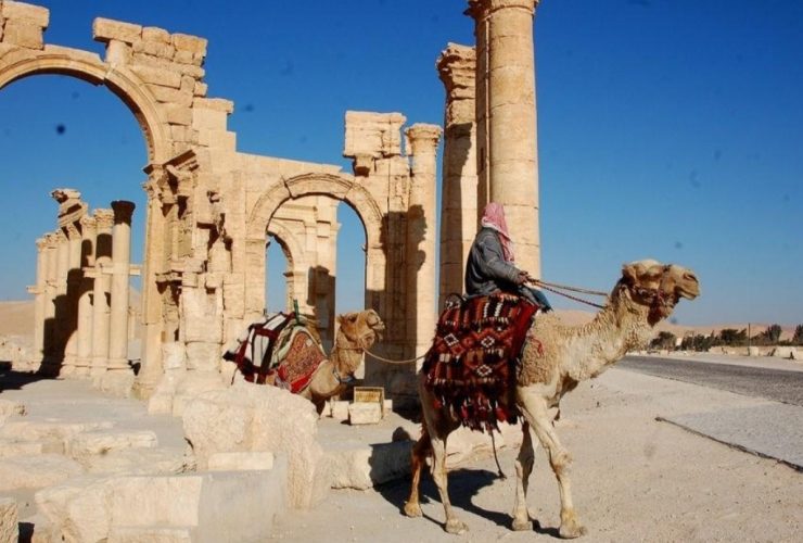 الخيل والإبل في التراث السوري