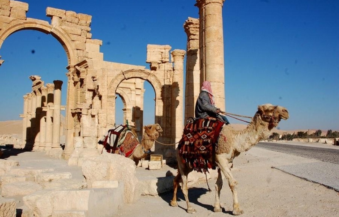 الخيل والإبل في التراث السوري