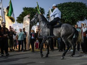 بطولة جمال الخيول العربية الأصيلة