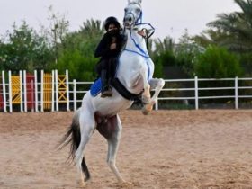 فتيات تبوك يرسمن ملامح جيل جديد من الفارسات السعوديات