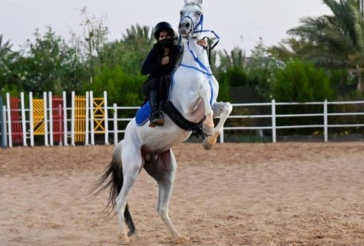 فتيات تبوك يرسمن ملامح جيل جديد من الفارسات السعوديات