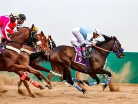 ميدان فروسية الباحة يطلق موسمه الجديد