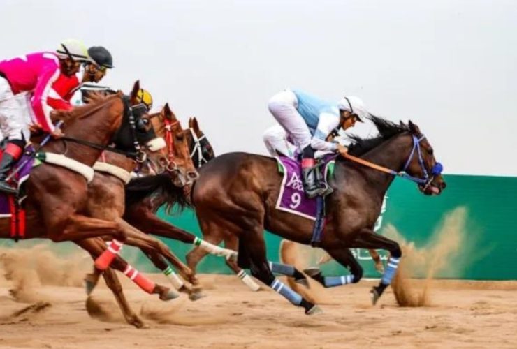 ميدان فروسية الباحة يطلق موسمه الجديد