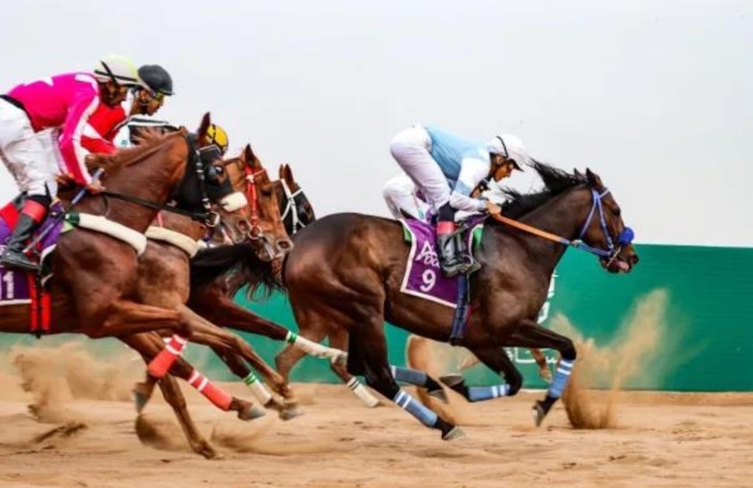 ميدان فروسية الباحة يطلق موسمه الجديد