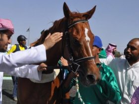 «وقاء» يعزز حماية الخيل