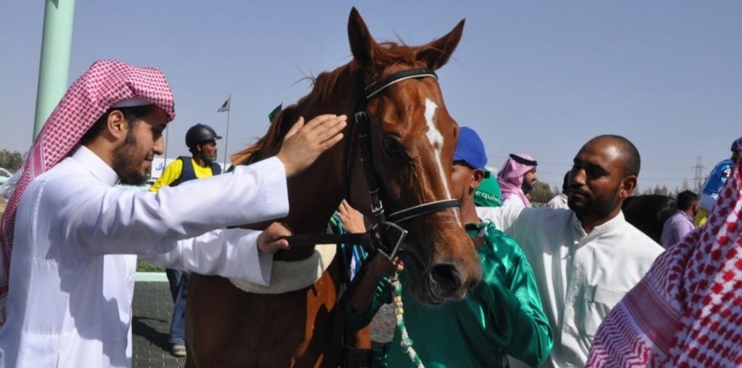 «وقاء» يعزز حماية الخيل