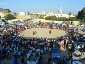 مهرجان الفروسية في بوحجلة