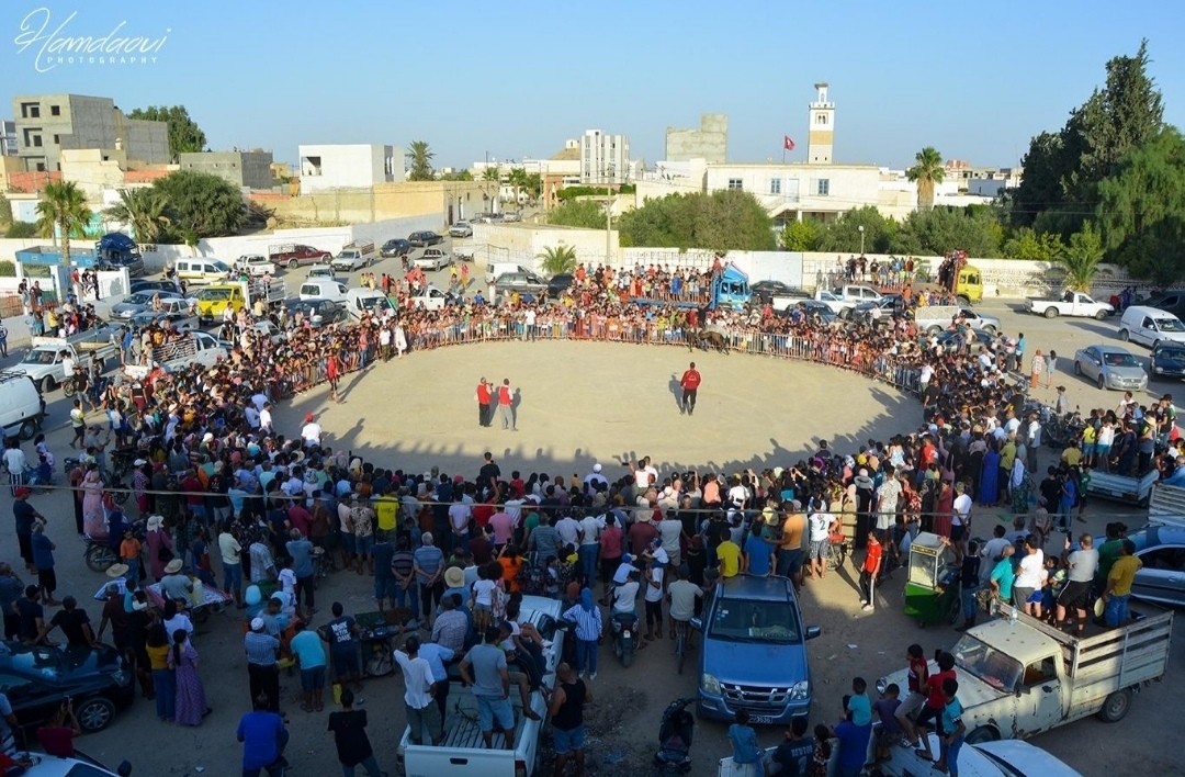 مهرجان  الفروسية في بوحجلة