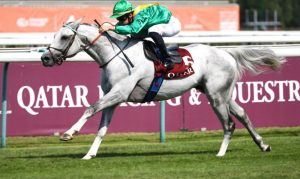 قطر من أبرز الدول الداعمة لسباقات الخيل العربية الأصيلة