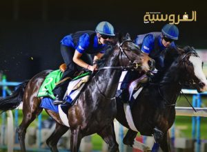 الفروسية السعودية... ريادة عالمية تُجسدها الإنجازات الكبرى