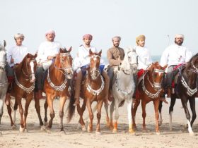 مهرجان الأصايل في جعلان يحتفي بعراقة الفروسية العُمانية