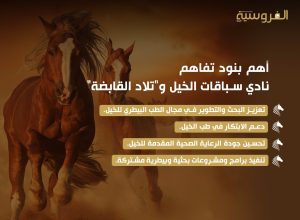 أهم بنود مذكرة تفاهم نادي سباقات الخيل وتلاد القابضة