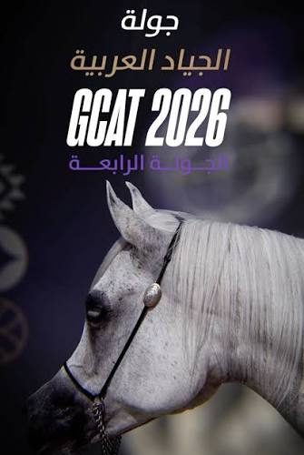 موناكو تختتم جولة الجياد العربية العالمية وسط منافسة قوية على ألقاب الجمال