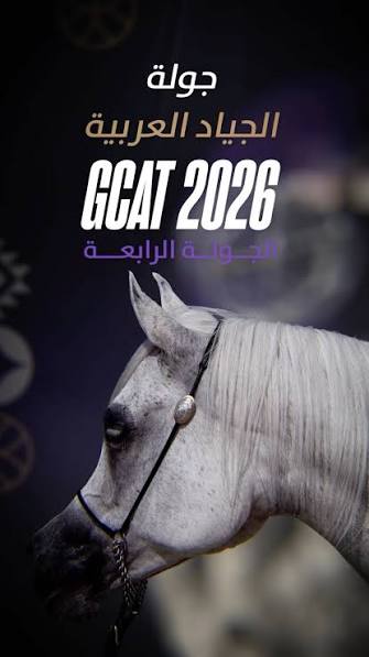 موناكو تختتم جولة الجياد العربية العالمية وسط منافسة قوية على ألقاب الجمال