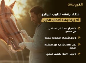 أخطاء يتمنى الطبيب البيطري ألا يرتكبها أصحاب الخيل