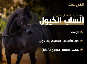 وسائل التحقق من أنساب الخيول
