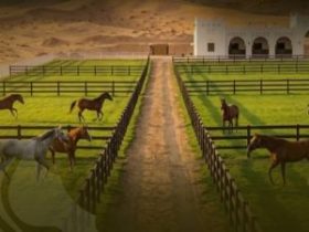 التكاثر في الخيل
