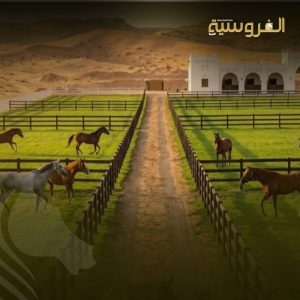 التكاثر في الخيل