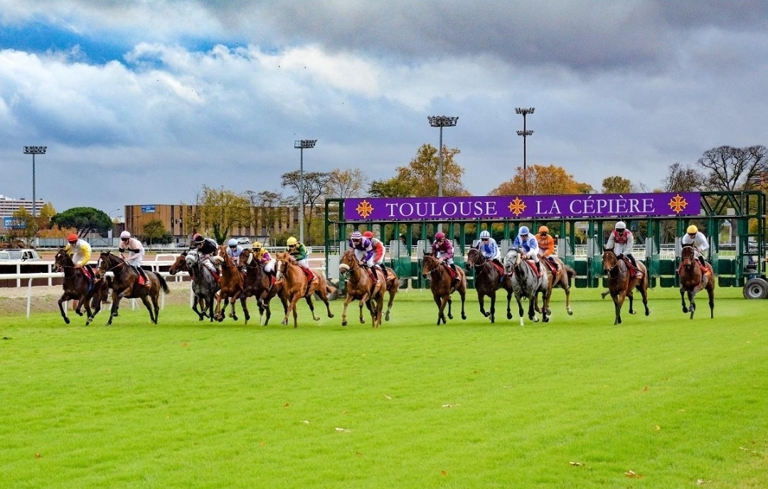سباقات الخيل العربية في فرنسا