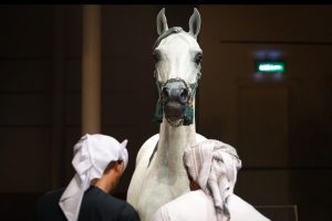 احتلت الخيل العربية الأصيلة مكانة استثنائية في التاريخ العربي