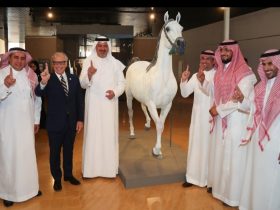فرس وفارس يتصدر معرض تاريخ الخيل
