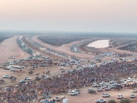 استحداث كأس مخصصة للملاك السعوديين، تبلغ جائزتها 500 ألف ريال سعودي