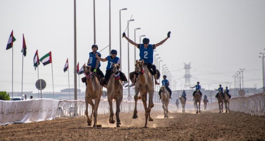 مهرجان سيح الرمث يعزز مكانة سباقات الهجن