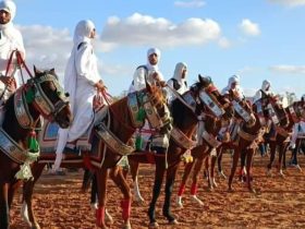 التقاط الأوتاد يثبت حضوره في ليبيا