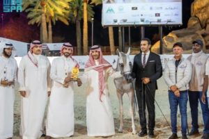 تأتي الترقية بعد عدة نسخ ناجحة