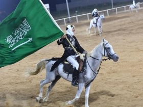 توسع سعودي واضح في اقتصاد الخيل.