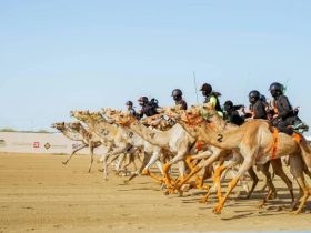 الطائف توسّع حضورها العربي باستضافة أشواط للاتحادات العربية