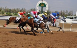 يقام يوم الجمعة كأس تحدي نادي سباقات الخيل