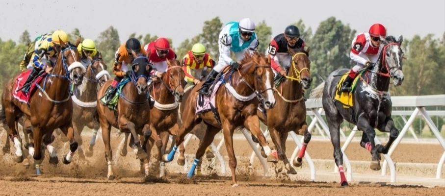 موسم الرياض 2026–2027 يعيد رسم خريطة المنافسة في سباقات الخيل
