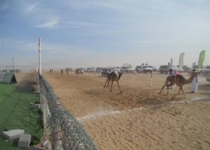 من أجواء المهرجان