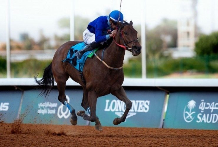 فلوورينغ بورتر يطوي صفحة المجد ويعتزل السباقات عن 11 عامًا