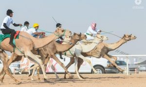 يتزامن المنتدى مع النسخة الثامنة من مهرجان ولي العهد للهجن