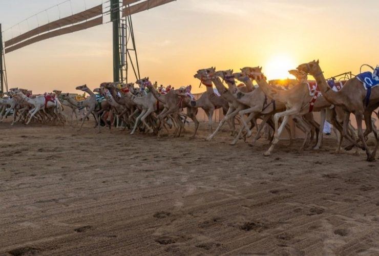 ميدان نجران يفتح جولة جديدة أمام «المفاريد»