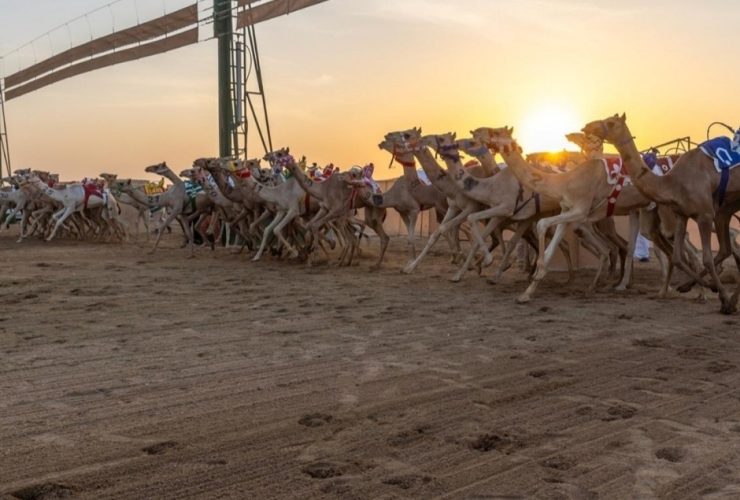 «وقادة» تختم سباق المفاريد