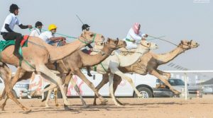 تقام أعمال المنتدى على مدى يومين