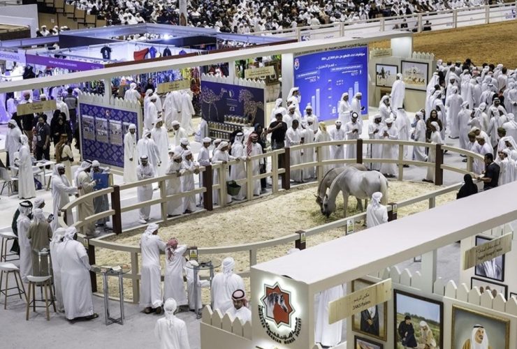 معرض أبوظبي الدولي للصيد والفروسية 2026