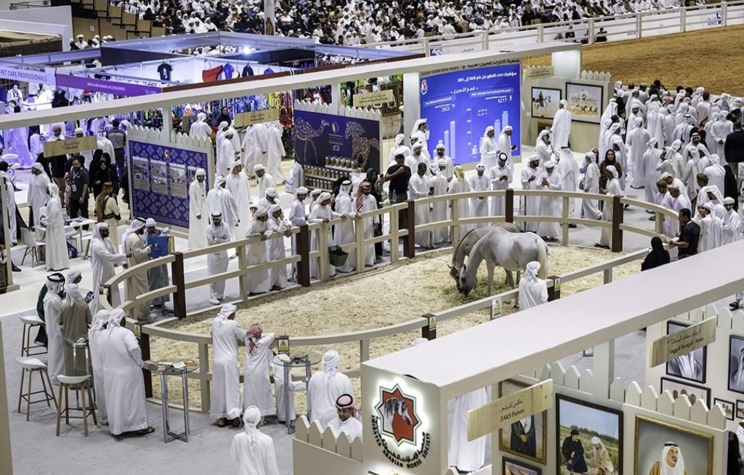 معرض أبوظبي الدولي للصيد والفروسية 2026