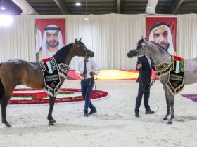 الإمارات ترسم خريطة متكاملة لموسم الفروسية 2026