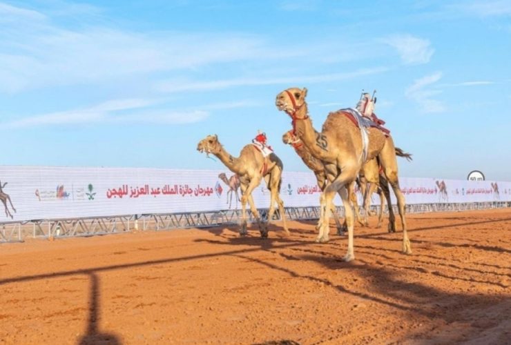 هجن الشحانية تفرض حضورها
