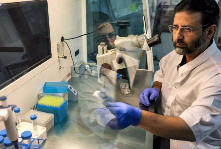 من حفظ السلالات إلى هندسة المستقبل