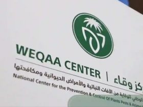 «وقاء» يراقب البيئة المحيطة بميدان الطائف جواً لحماية الخيل من مخاطر الأمراض