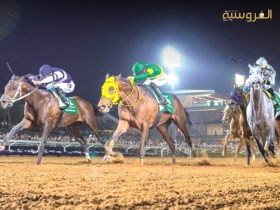 موسم الطائف.. حكاية مجد تتجدد على صهوة الجياد