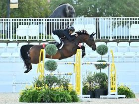 اللبناني جاد دانا يتوج بلقب جائزة هامبتون غرين الكبرى في بطولة CSI3*