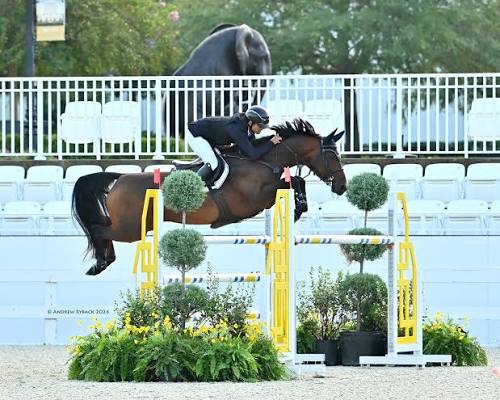 اللبناني جاد دانا يتوج بلقب جائزة هامبتون غرين الكبرى في بطولة CSI3*