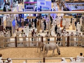 أبوظبي تدشن النسخة الـ23 من معرض الصيد والفروسية